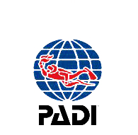 Padi