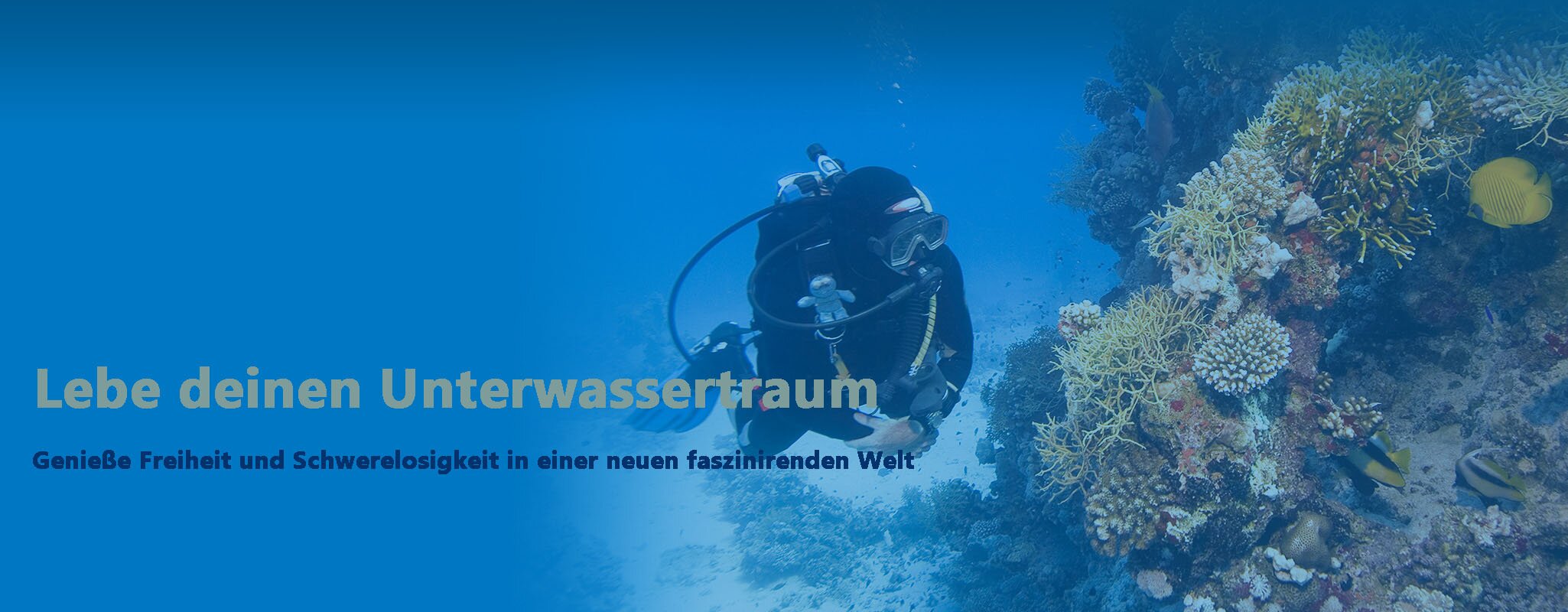 Lebe deinen Unterwassertraum - Tauchschule in Nürnberg